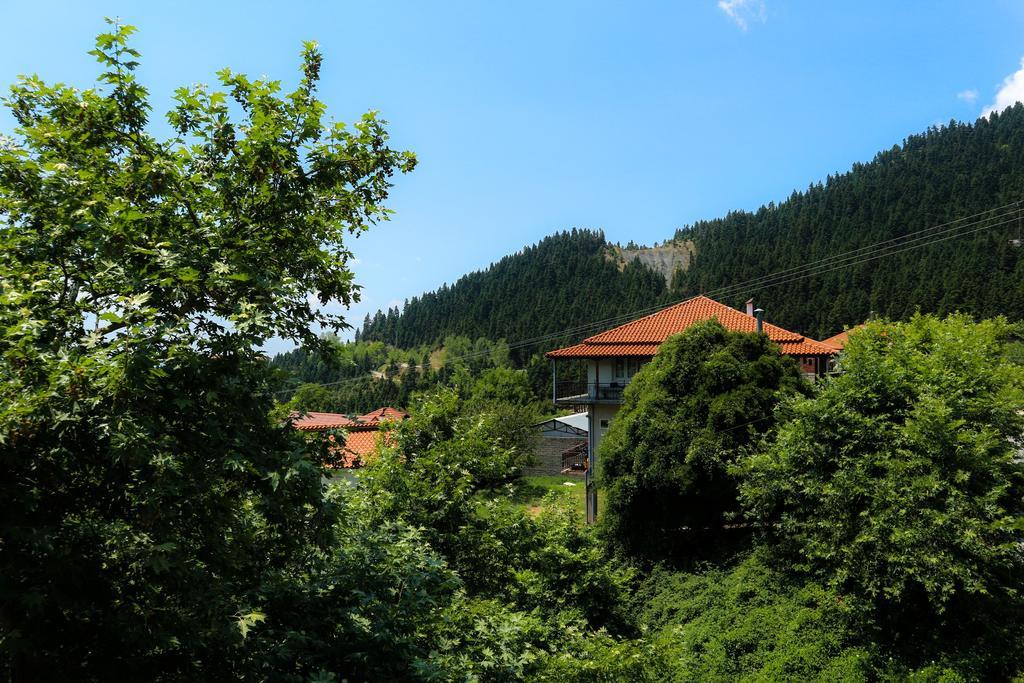 Hotel Elatofilito Athamanio Экстерьер фото